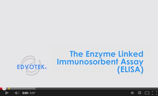 267 single antibody elisa diagnostics enzyme linked immunosorbent assay