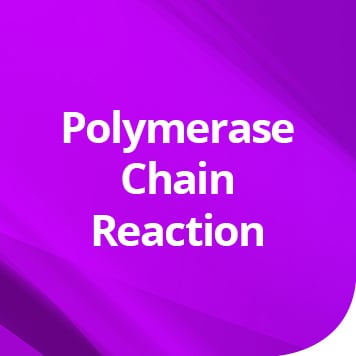 Polymerase Chain Reaction