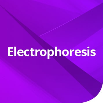 Electrophoresis Videos