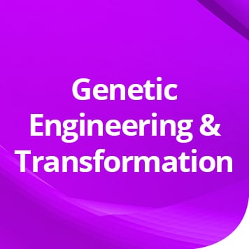 Genetic Engineering & Transformation