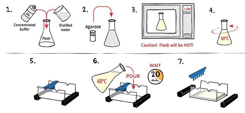 casting the agarose gel pictograph