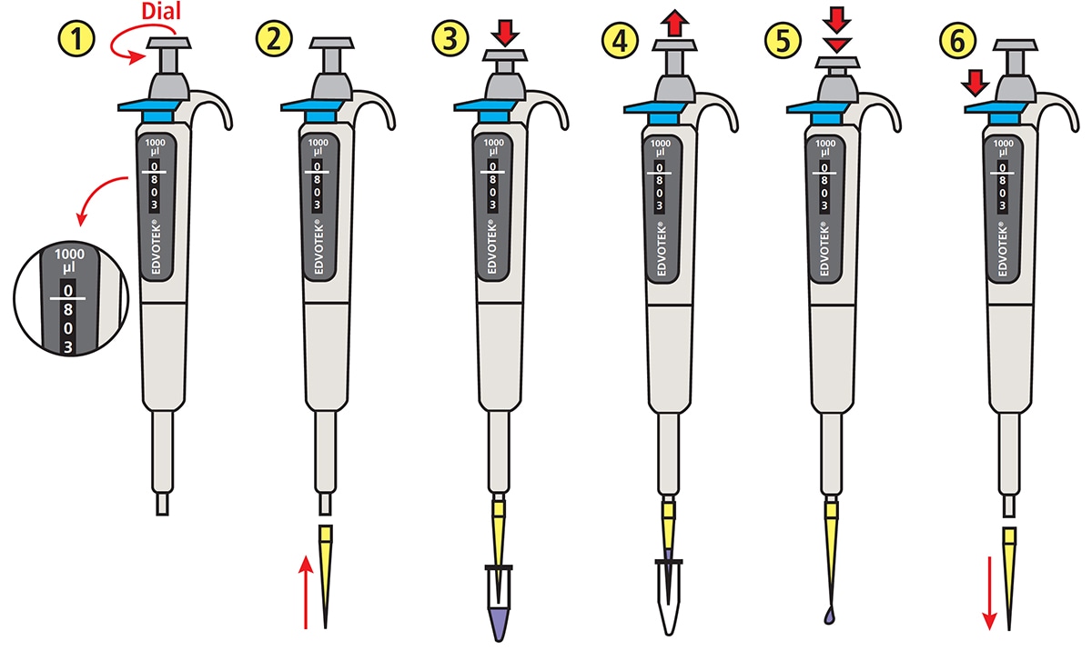 micropipette graphic