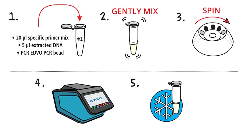 pcr flow chart