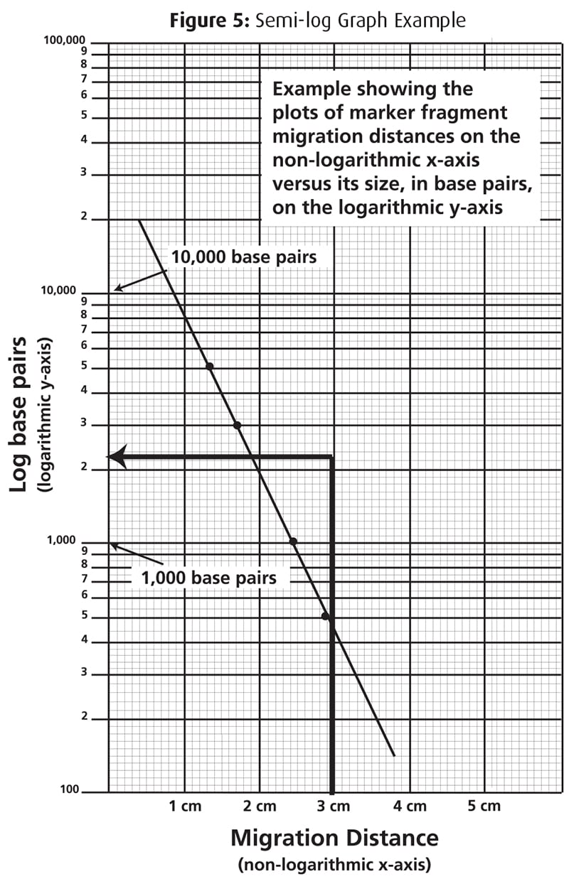 Figure 5 Migration Distance Graph