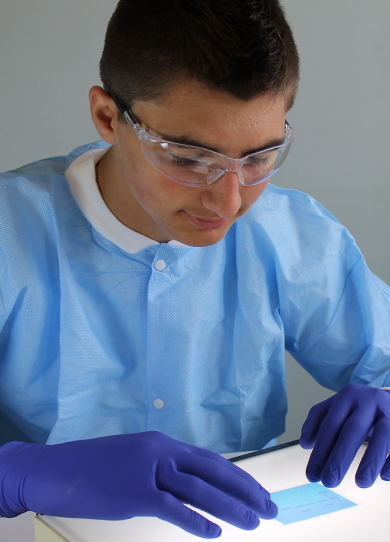 male student visualizing a blue-stained gel on a white light box