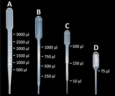 Transfer-Pipets