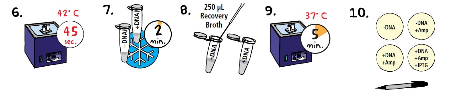 Enhanced Steps 6 through 10