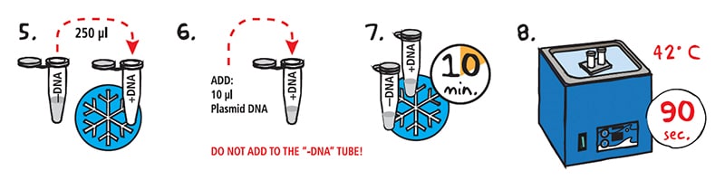 Steps 5 through 8