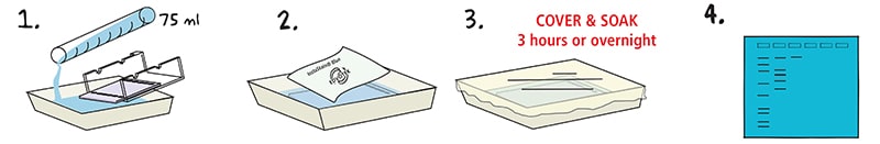 InstaStain staining pictograph