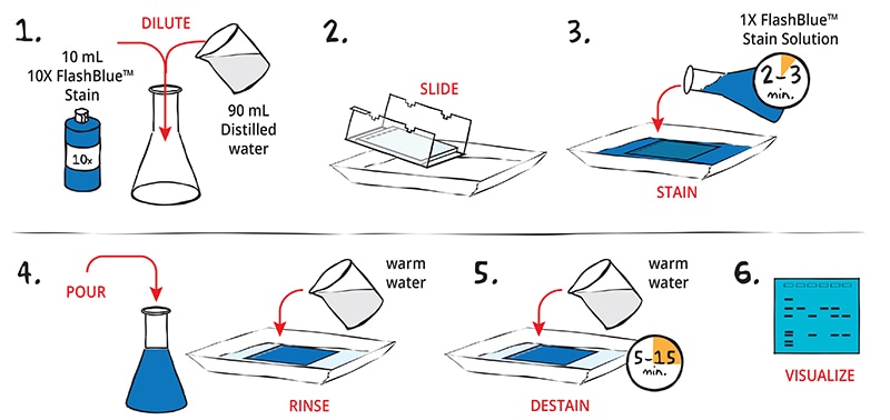 FlashBlue staining pictograph