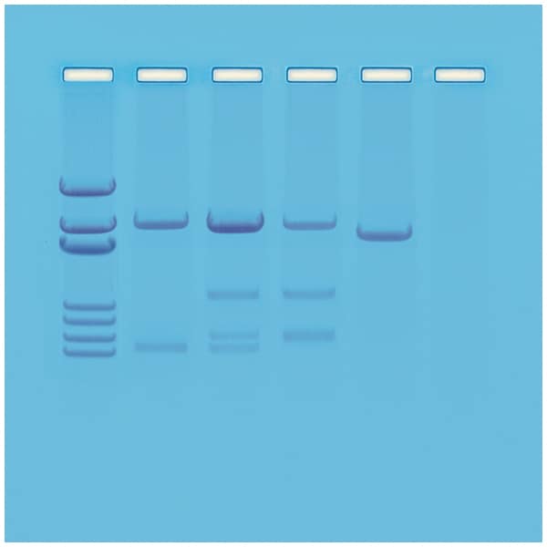 DNA Analogic Virtual Tube Draeger Carbon Dioxide 100/a-P Detector Tubes 6728521 - 10