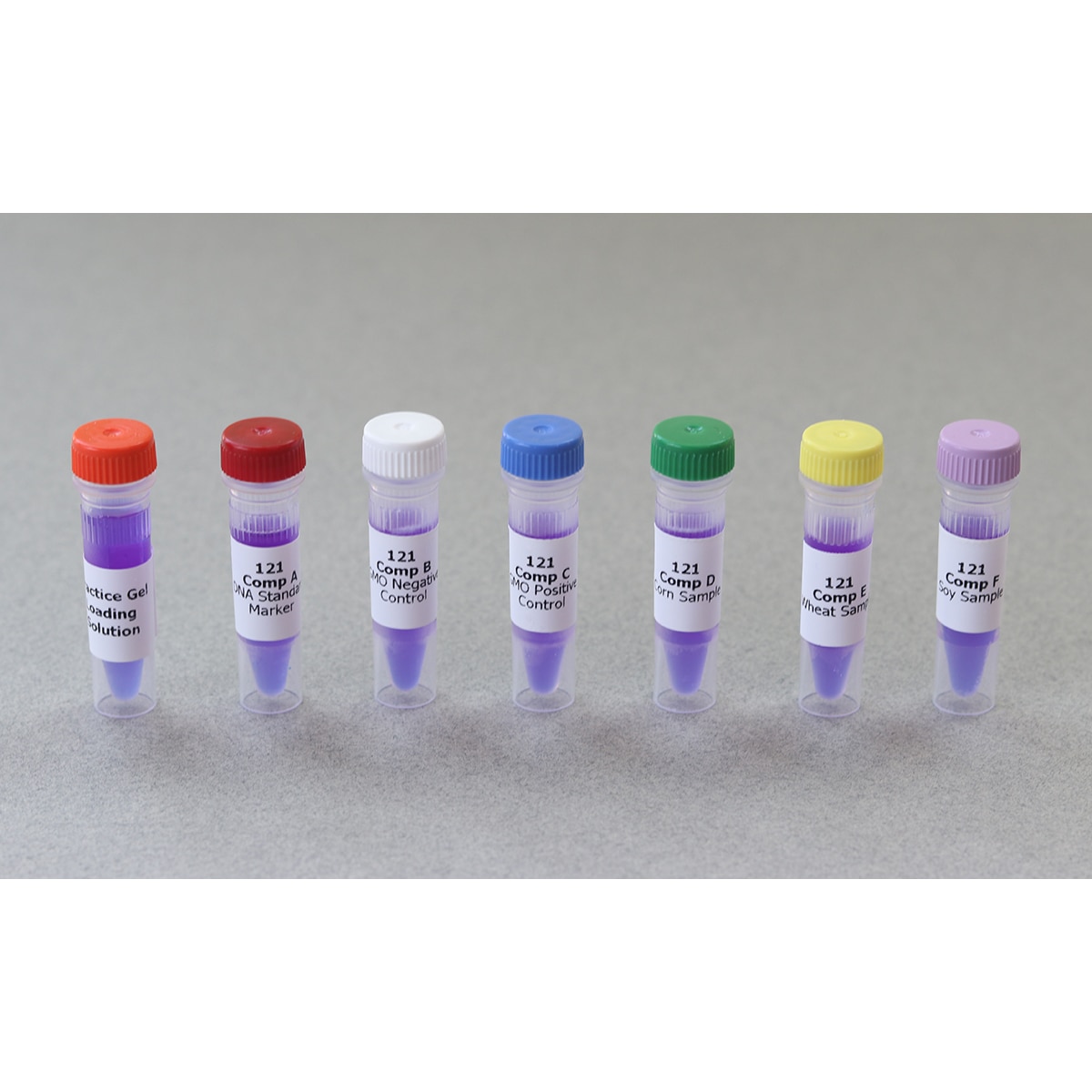 121-C - Cholesterol Diagnostics DNA ONLY for 24 Gels