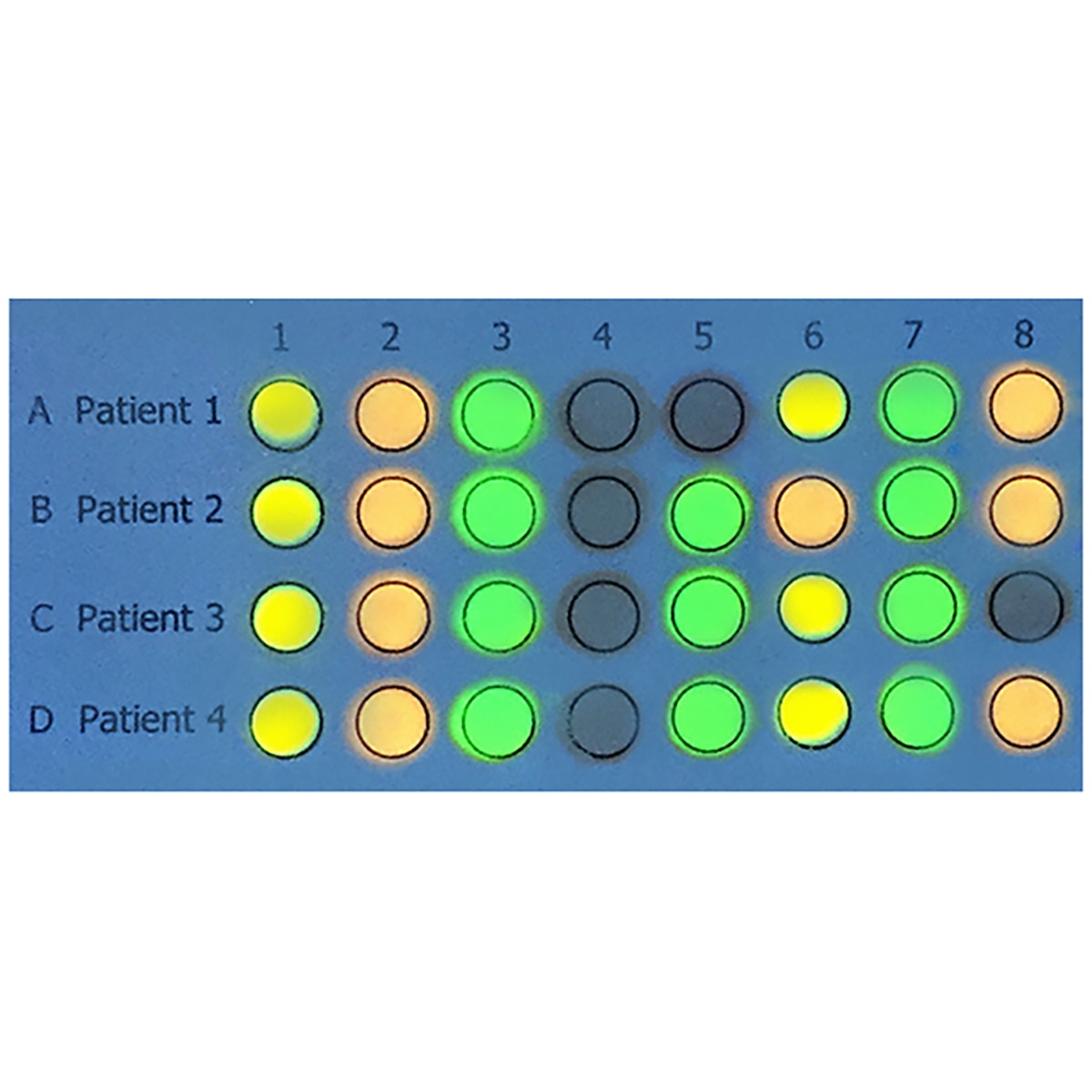 DNA/RNA Microarrays Kit | EDVOTEK