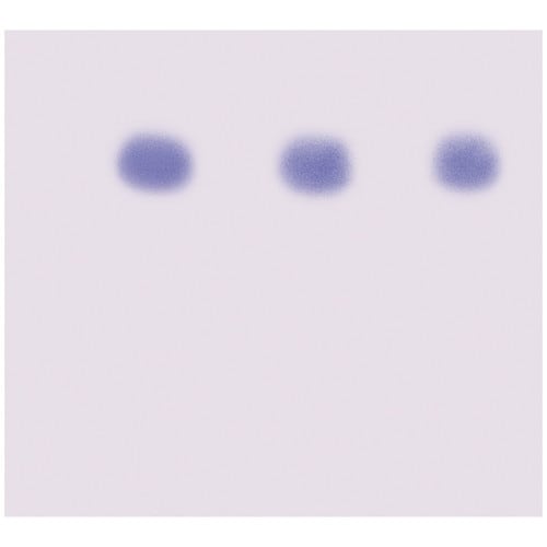 275 - AIDS Kit II: Simulation of HIV Detection by Western Blot 275 - AIDS Kit II: Simulation of HIV Detection by Western Blot