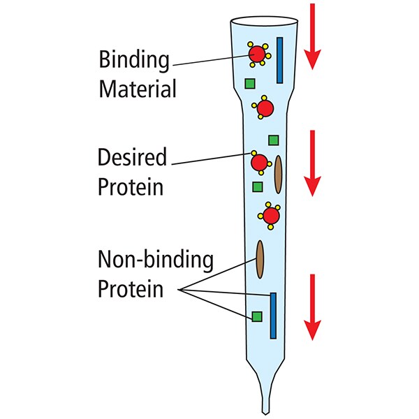 affinity chromatography affinity chromatography