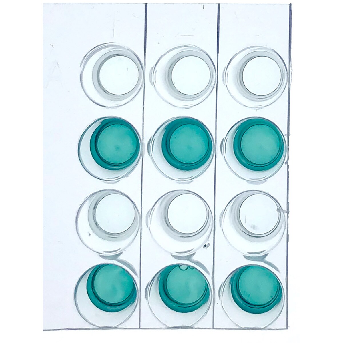 investigating human health using the elisa elisa lab