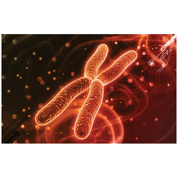 健康・医学 PCR/RT-PCRinsituLight&ElectronMicroscopy Candida_auris_Short_Stripe_Bad
