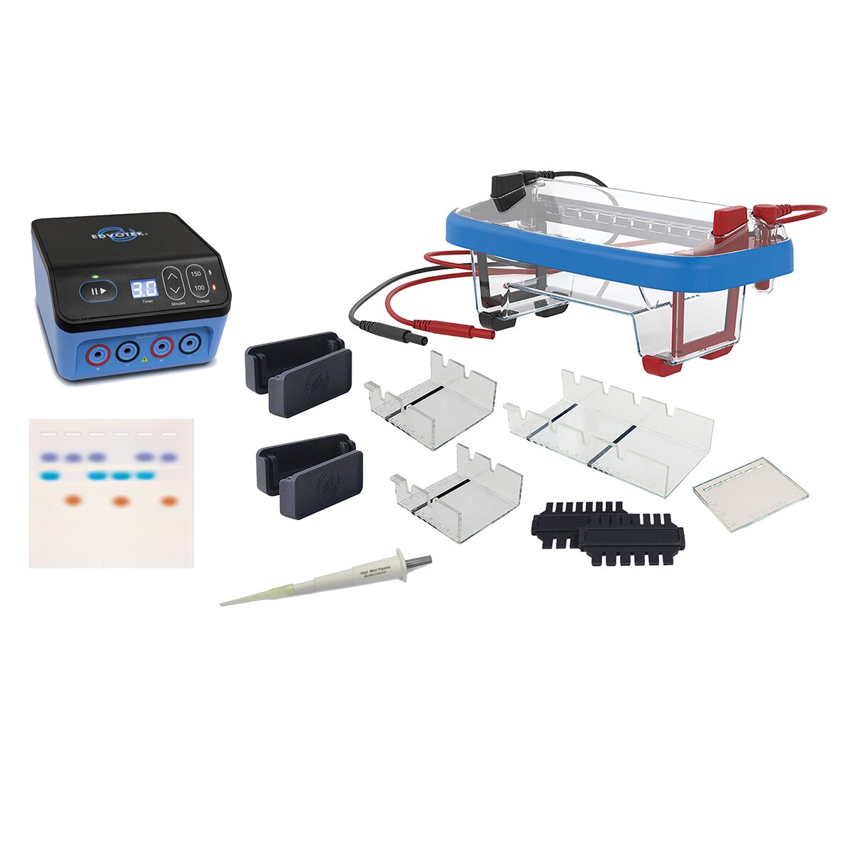 5061 - Demonstration DNA Electrophoresis LabStation™