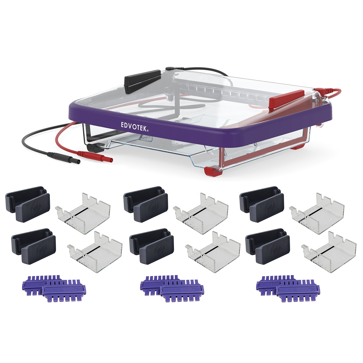 Classroom Gel Electrophoresis Apparatus | EDVOTEK