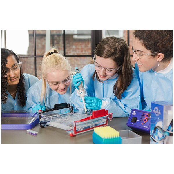 Classroom Gel Electrophoresis Apparatus | EDVOTEK