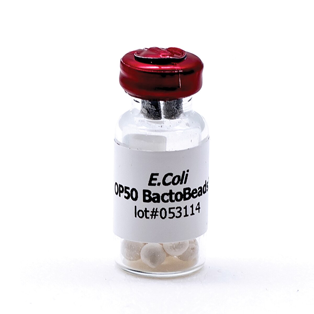 ＥＰ−K50　電子キ−ボ−ド 729 - BactoBeads™, E. coli OP50 (for C.elegans)