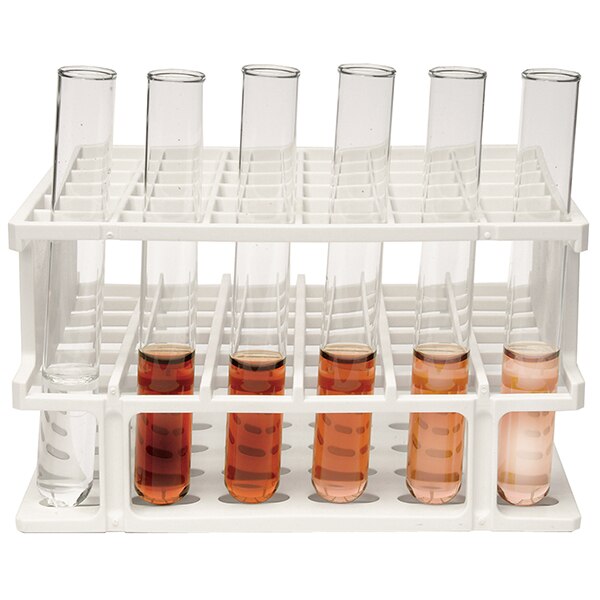AP13 - LAB 13: Enzyme Activity