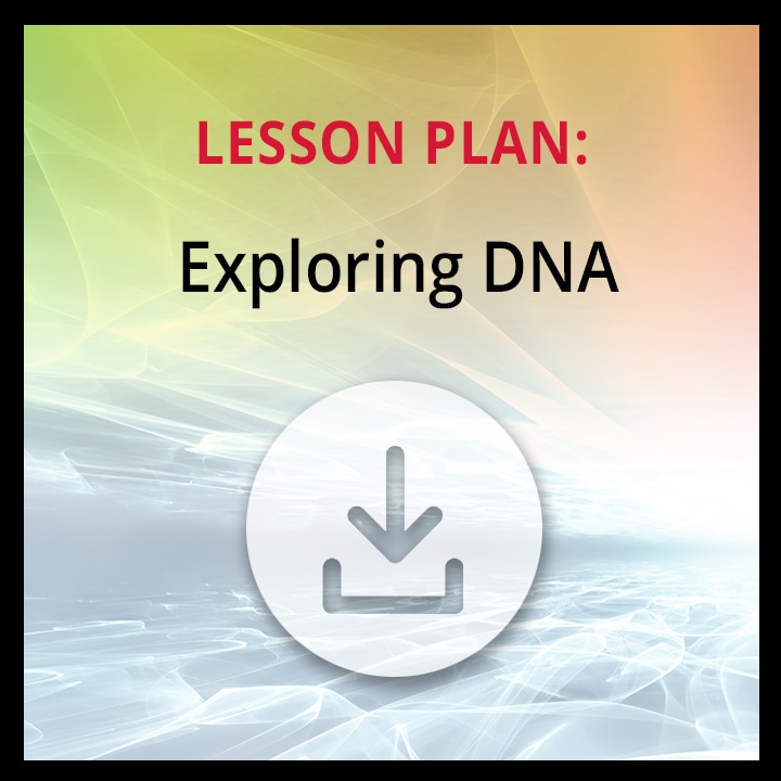 Lesson Plan