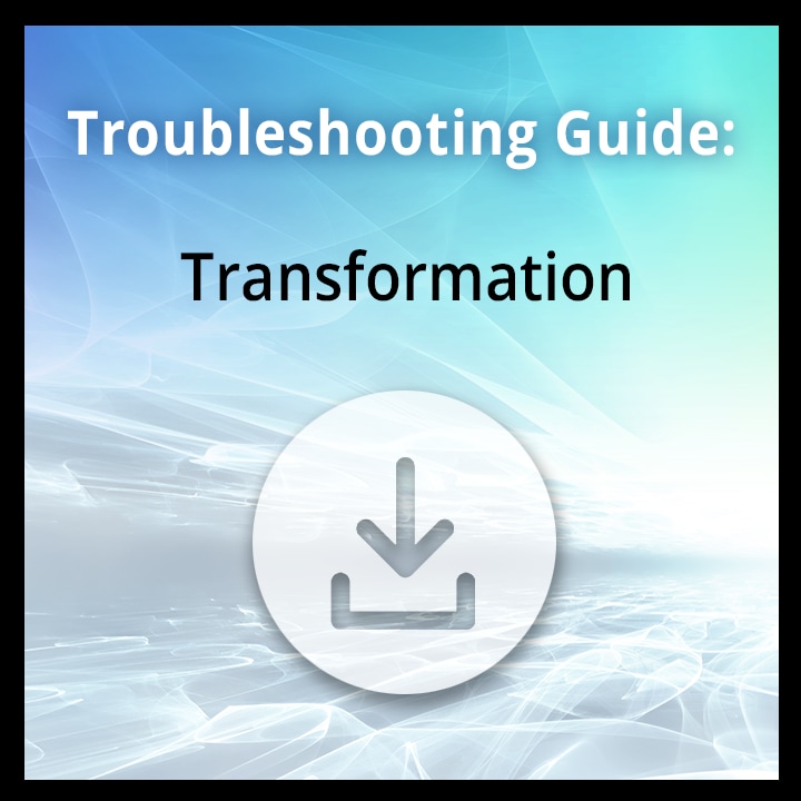 Troubleshooting Guide